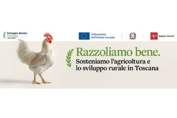 Contributi della Regione Toscana per Investimenti produttivi forestali