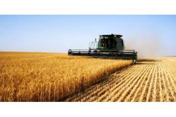 Sostegno dei Gruppi Operativi Pei Agri SRG01 - Il Bando &#232; previsto in ottobre