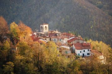 Sfoglia la galleria