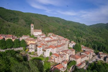 Sfoglia la galleria